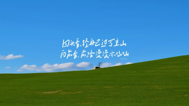 论文润色降重-7998888